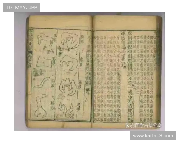 揭秘龙虎风水学的基本原理及其实际应用