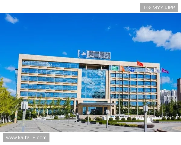 凯发集团网页版登录不了的原因分析与解决方案详解